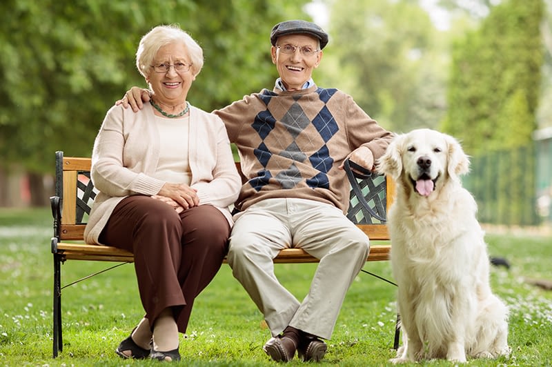 Senior Pet Care - Westbay Animal Hospital